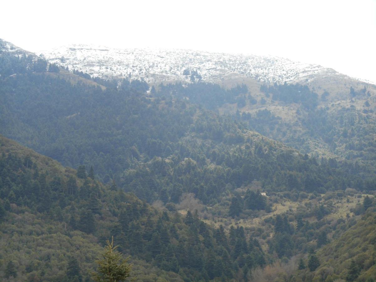 Amadriades Kalavryta Bagian luar foto